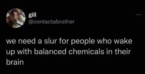 Balanced Brain Chemistry