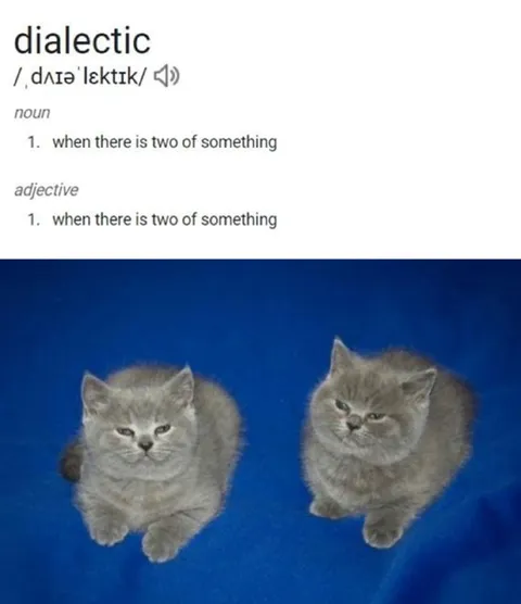 Dialectic Means Two Cats