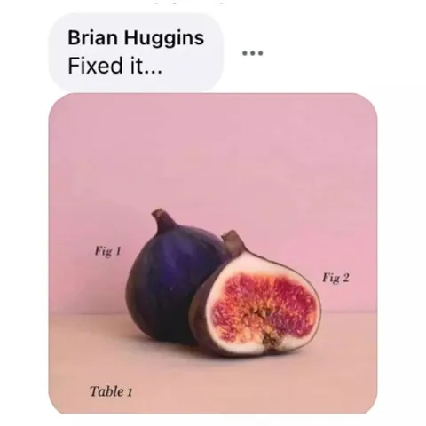 Fixed Fig Tree Diagram