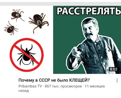 Почему в СССР не было клещей