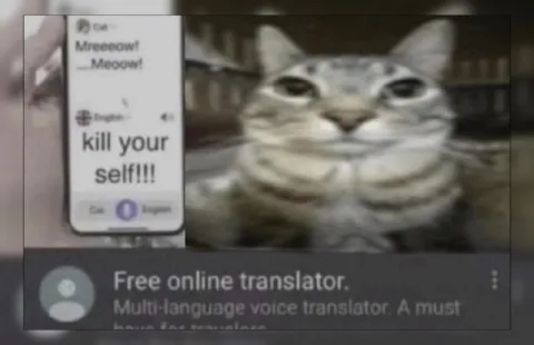 Cat Translation Gone Wrong