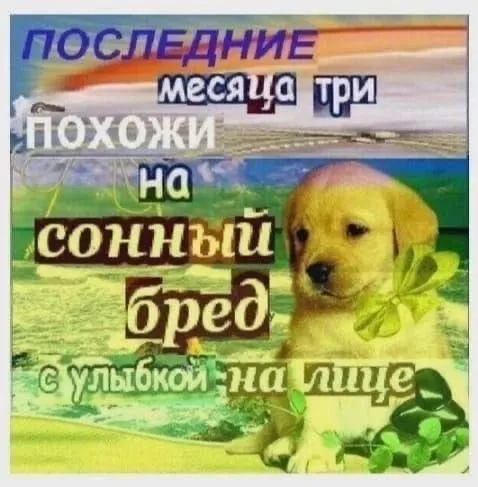 Последние месяцы как сонный бред