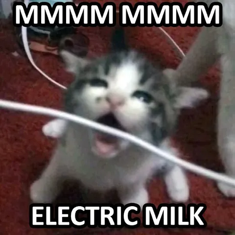 Electric Milk Cat