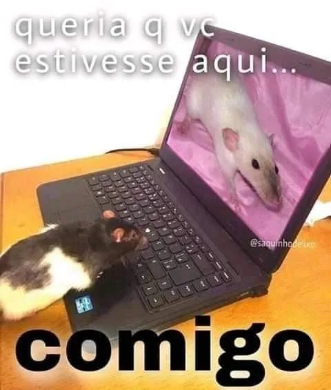 Queria que você estivesse aqui comigo