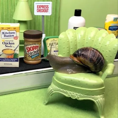 Snail at Express Checkout