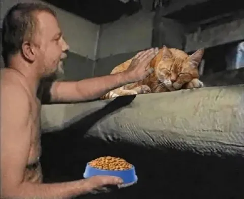 Мужчина кормит спящего кота