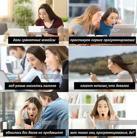 Идеальная жизнь программиста