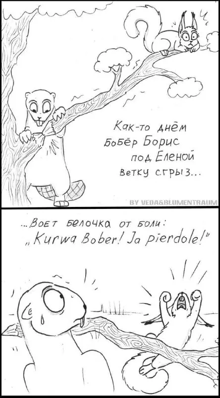 Бобёр Борис сгрыз ветку
