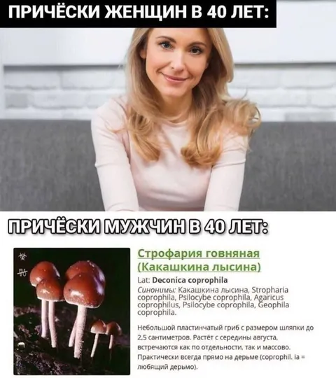 Прически мужчин и женщин в 40 лет