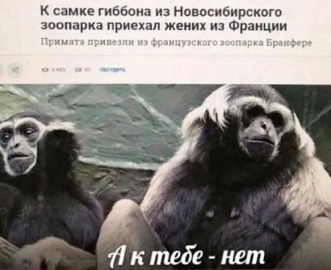 А к тебе — нет