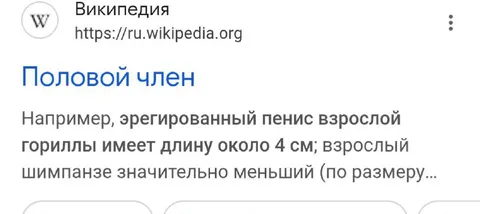 Размер полового члена у горилл