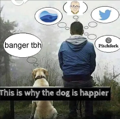 This Is Why the Dog Is Happier