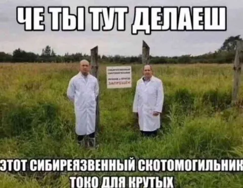 Сибиреязвенный скотомогильник