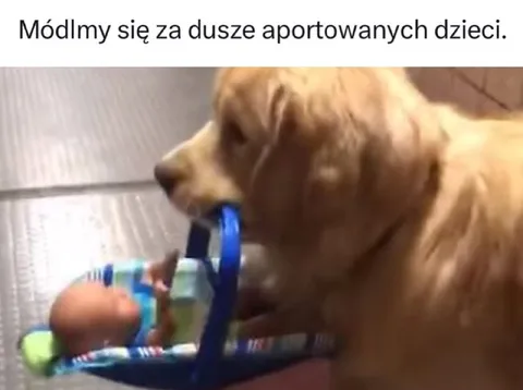 Pies modli się za dzieci