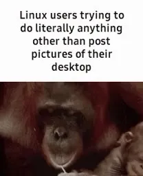 Linux Users Doing Anything Else