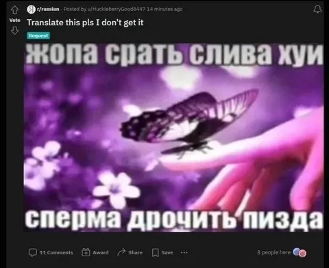 Жопа срать слива хуи