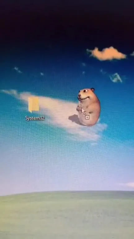 Hamster Causes a Blue Screen