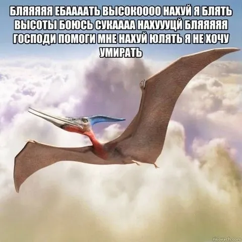 Птеродактиль боится высоты