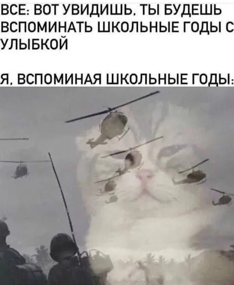 Школьные годы с вертолётами