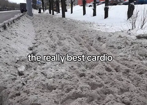 The Really Best Cardio