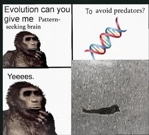 Evolution Gives Pattern-Seeking Brain