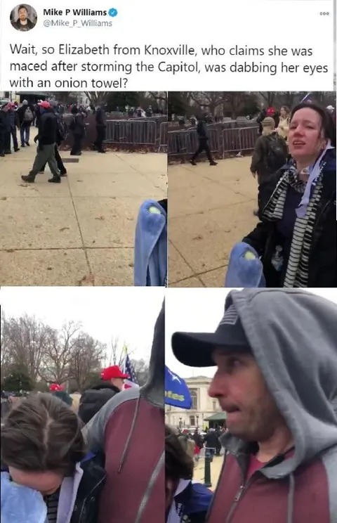 Onion Towel Capitol Interview