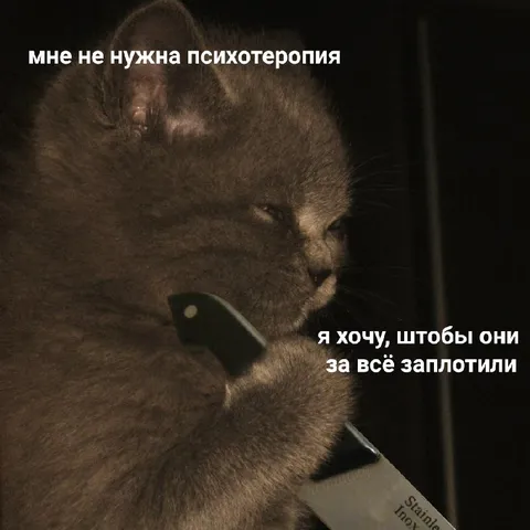 Кот, который всё запомнил