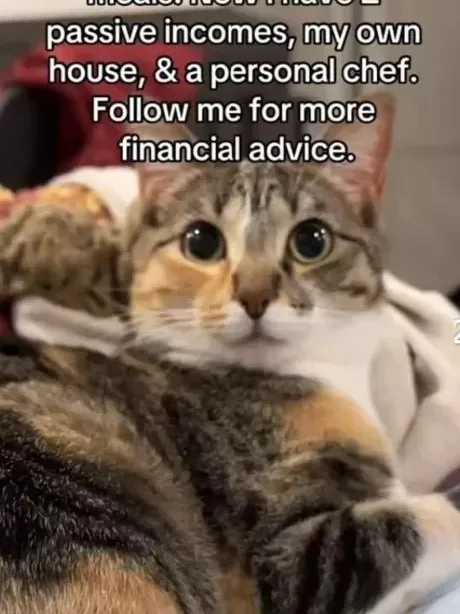 Cat's Passive Income Advice