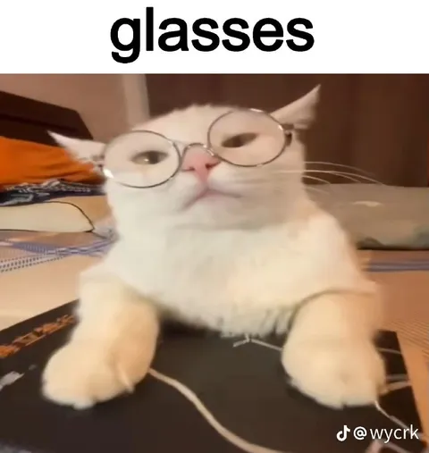 Cat Wearing Oversized Glasses