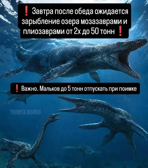 Зарыбление озера мозазаврами