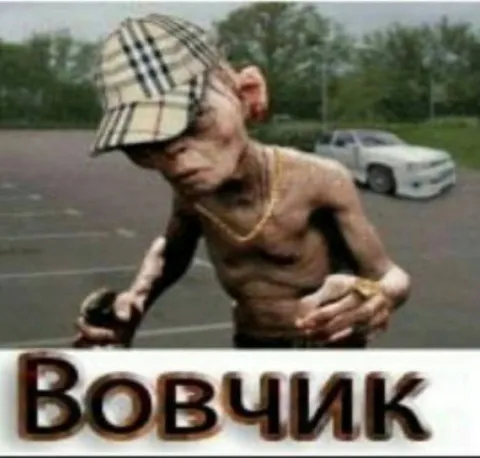 Вовчик в клетчатой кепке