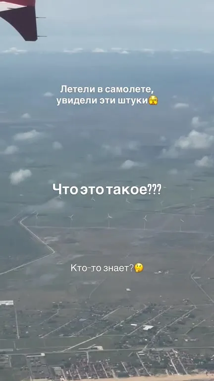 Что это за штуки в поле