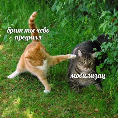 Брат, ты чего прёшься