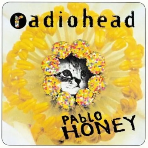 Cat Pablo Honey Album Cover