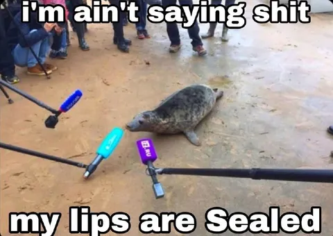 Seal Refuses to Comment