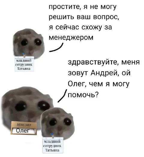 Младший сотрудник Татьяна и менеджер Олег