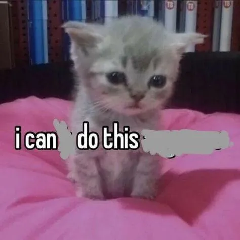 I Can Do This Kitten
