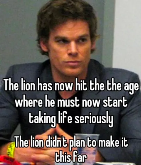 The Lion Reaches Adulthood