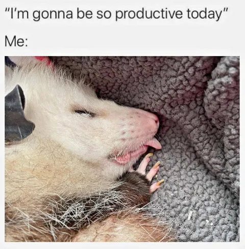 Productive Day Plans