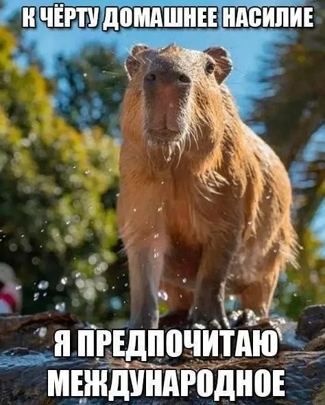К чёрту домашнее насилие