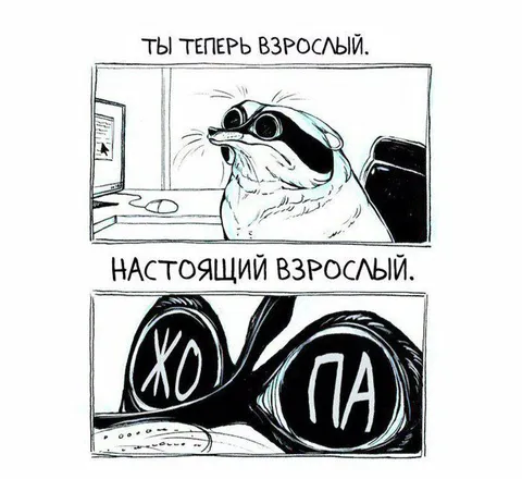Настоящий взрослый — жопа