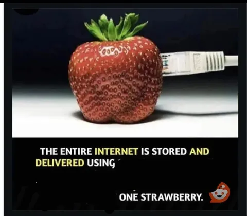 The Entire Internet Strawberry