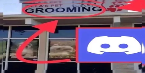 Discord Pet Grooming Sign
