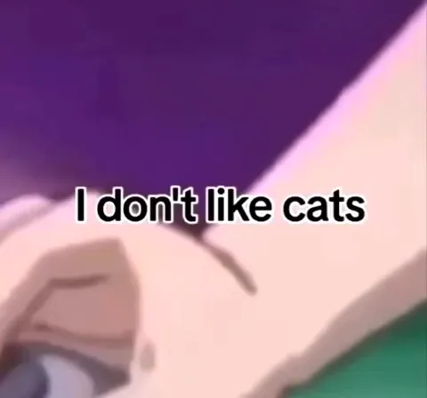 I Don't Like Cats Reaction