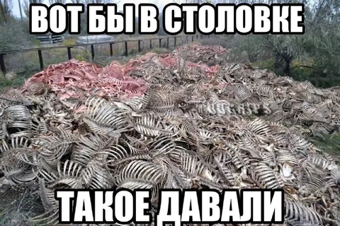 Вот бы в столовке такое давали