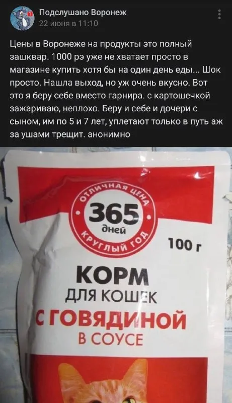 Корм для кошек вместо мяса