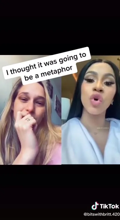 I Thought It Was a Metaphor