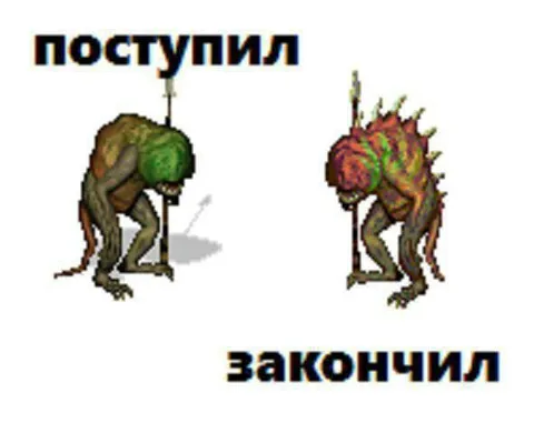 Поступил — закончил