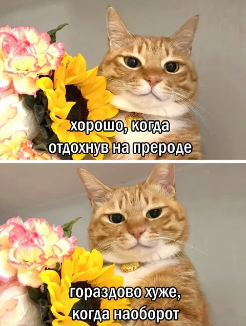 Хорошо на природе, хуже наоборот