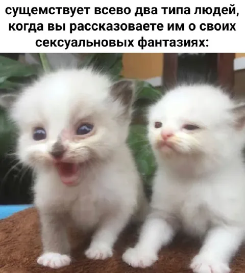 Два типа людей и фантазии